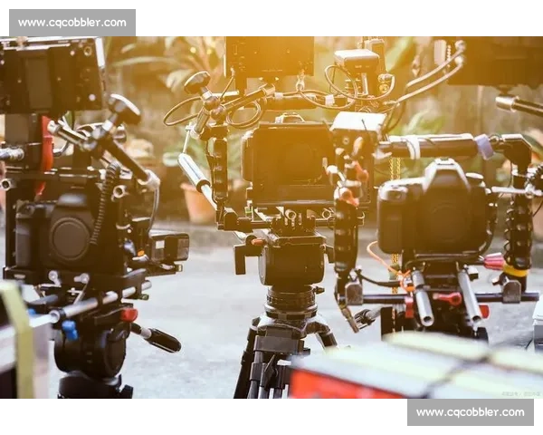 影视后期剪辑技术全面培训课程从入门到精通提升您的创作能力