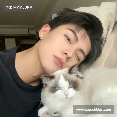 明贞梦